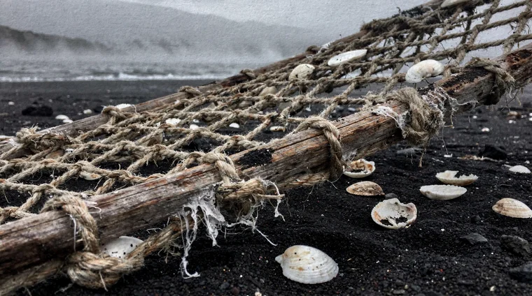 Collecting Data and Avoiding Bias