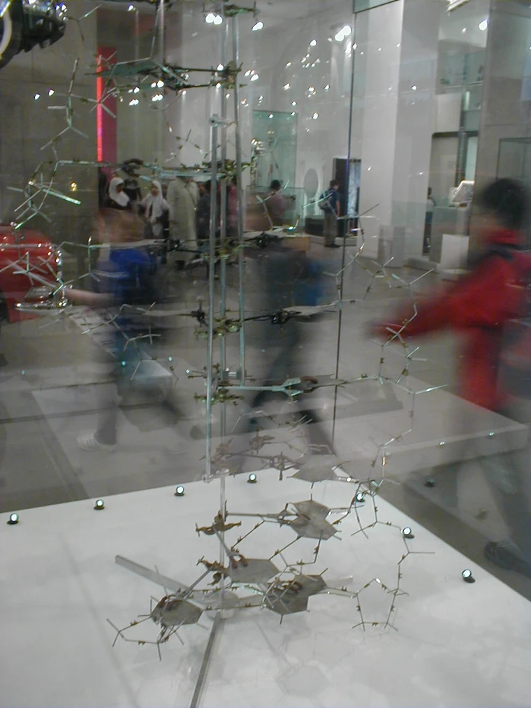 Template pieces from Watson and Crick's original DNA molecular model (1953) at the Science Museum London